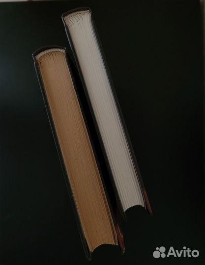 Две книги из серии «Коты-воители» Эрин Хантер