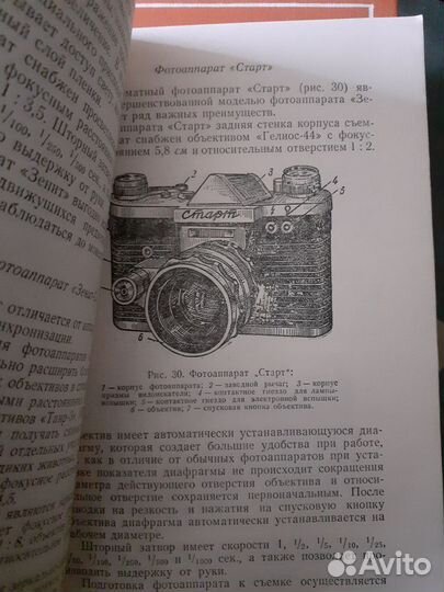 По фотоделу и домашним животным собак,кошек,лошади