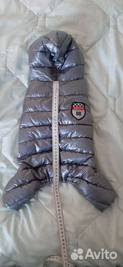 Одежда для собак