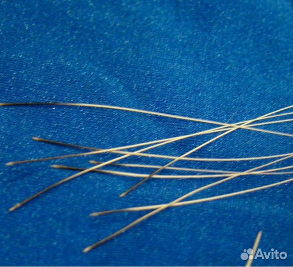 Кошачии усы