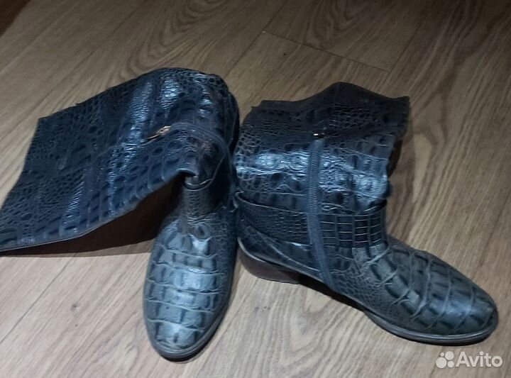 Сапоги женские