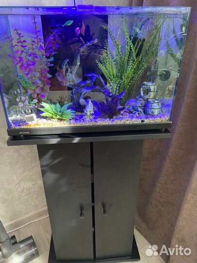 Аквариум с тумбой
