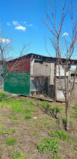 Дом 55 м² на участке 25 сот.