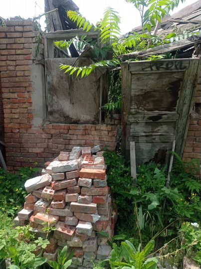 Участок 1,2 сот. (ИЖС)