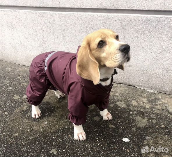 Демисезоные и зимние комбинизоны для собак