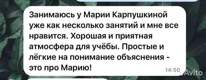 Репетитор русский язык, обществознание