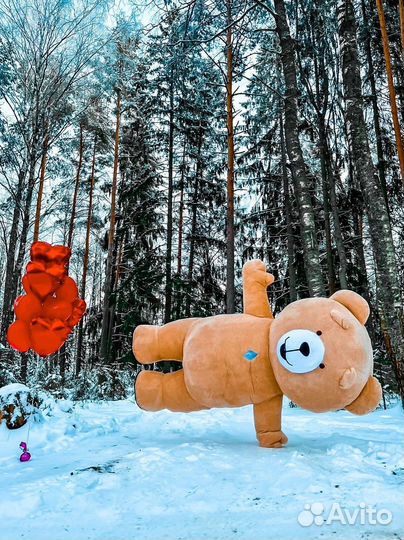 Поздравление от танцующего Мишки Гиганта