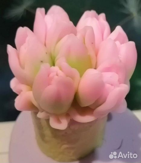 Силиконовые формы (молды ) набором