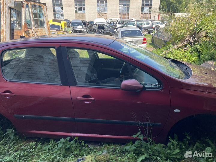 По запчастям Пежо 307. 2004г. 1.6i