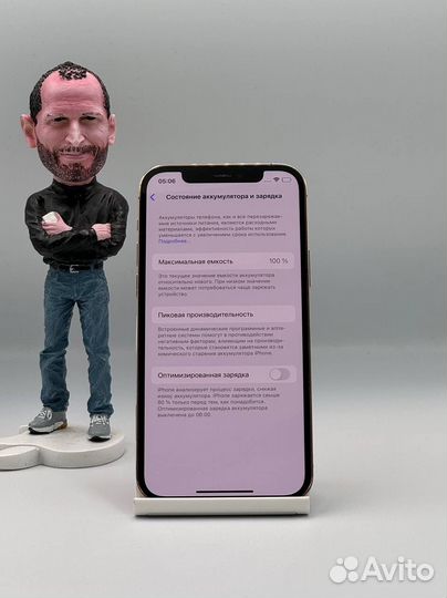 iPhone 12 Pro, 256 ГБ