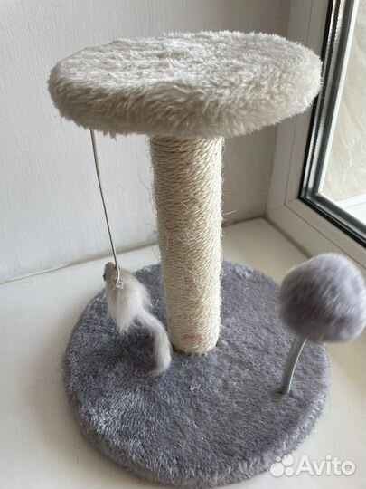 Когтеточка