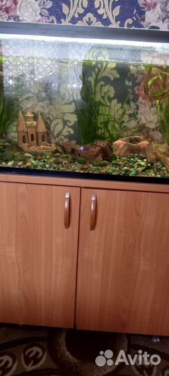 Аквариум