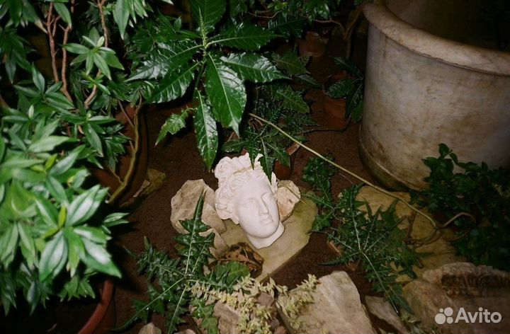 Samsung Fino 30SE плёночный фотоаппарат