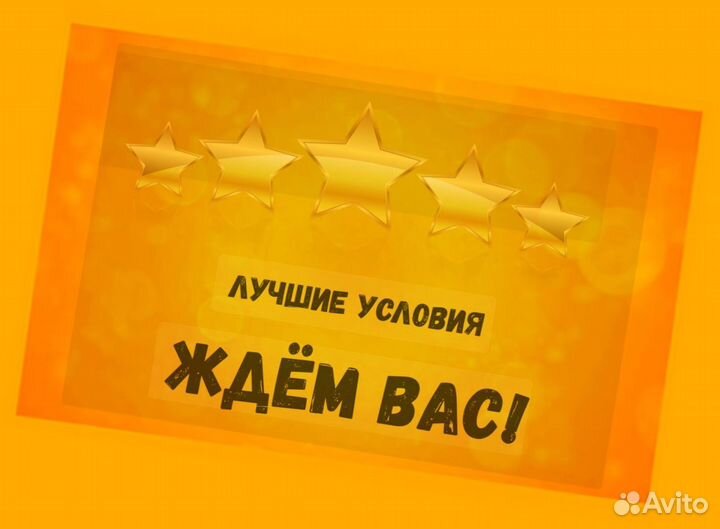 Комплектовщик Выплаты еженедельно Без опыта /форма Супер условия