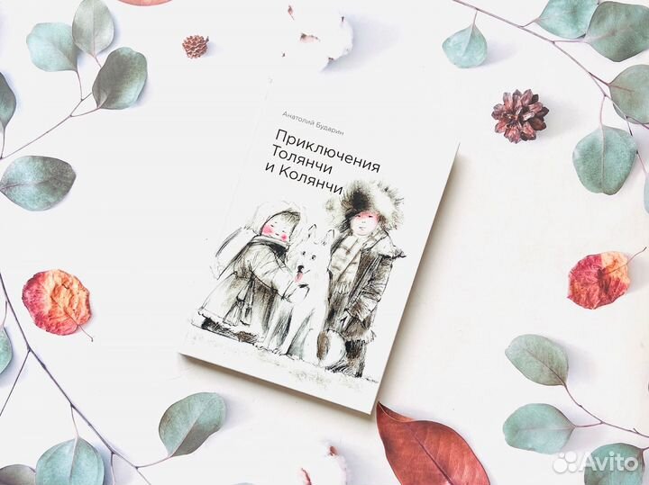 А. Бударин. Приключения Толянчи и Колянчи