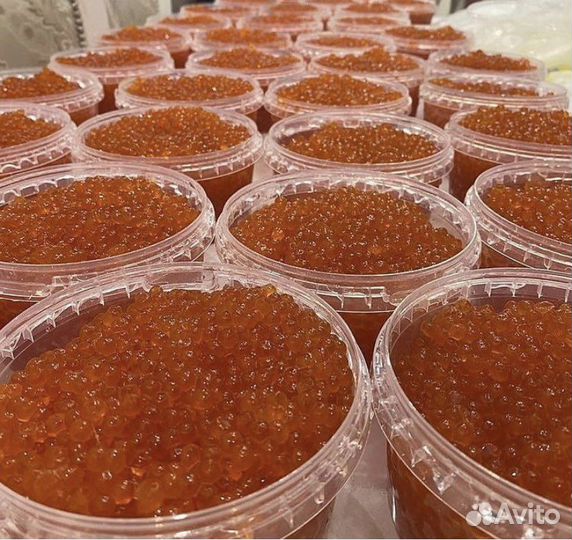 Красная икра горбуши 2023
