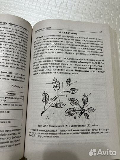 Биология