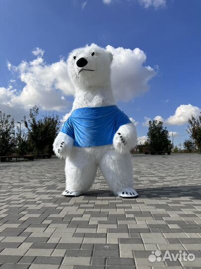 Одежда для аэромедведей