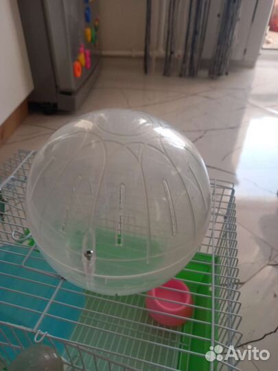 Клетка для джунгарского хомяка