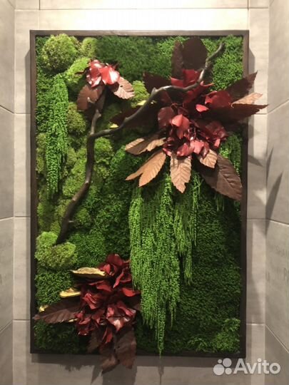 Картины из мха и растений