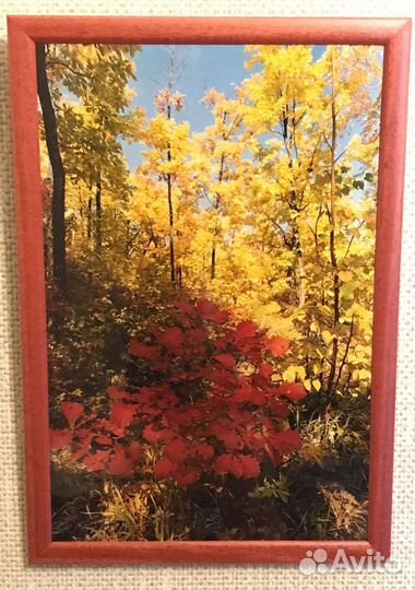 Фото картины