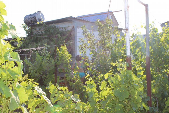 Дача 12 м² на участке 6 сот.