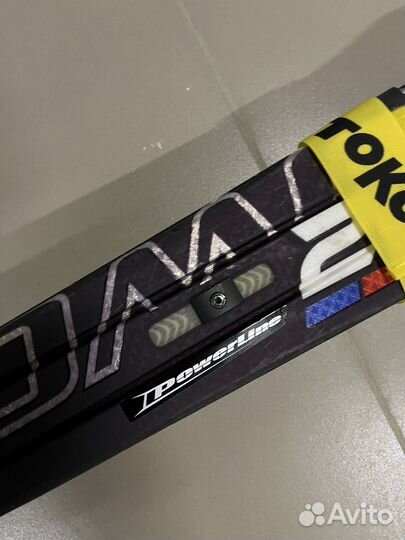 Горные лыжи