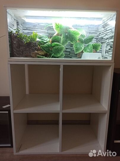 Террариум для рептилий