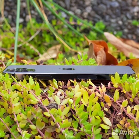 iPhone 12 Pro, 256 ГБ