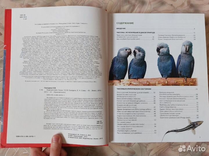 Энциклопедии