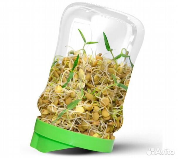 Семена люцерна 100 гр