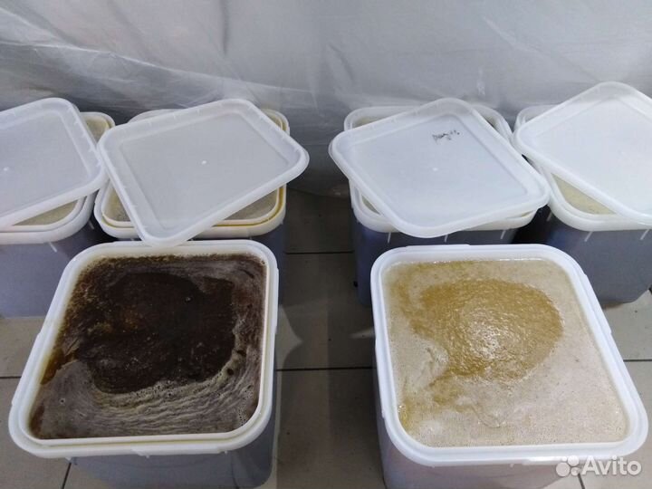 Мёд. Разнотравие. 2023г