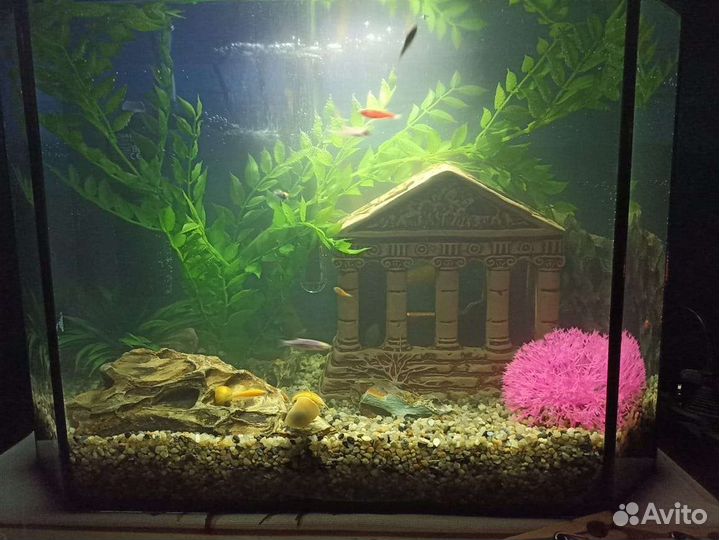 Аквариум