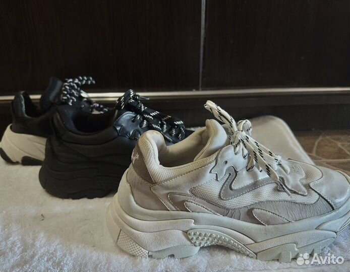 Кроссовки женские ash