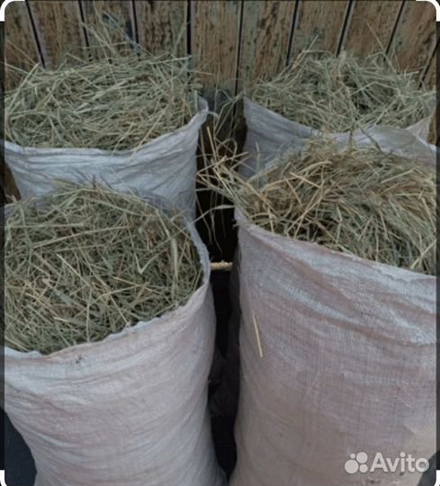 Продам сено в мешках