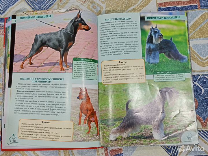 Подарочная книга