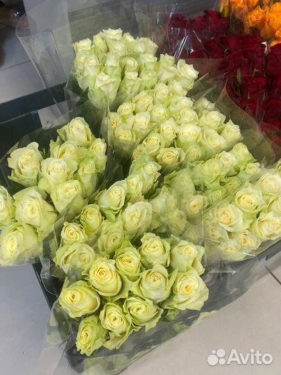 Новое поступление кенийских роз