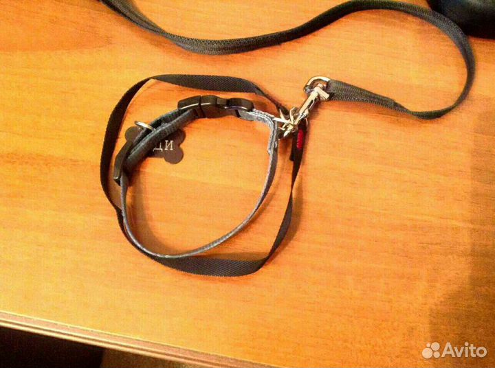 Ошейник для собак (предохранительный) /См описание