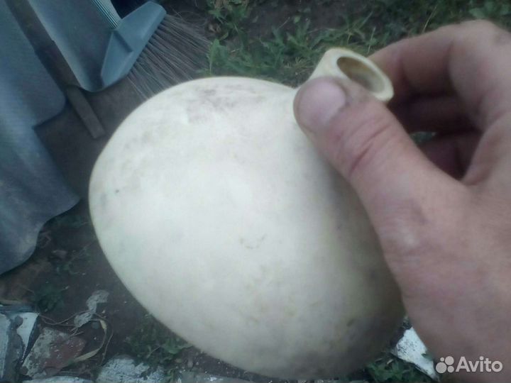 Фильтра с лейками