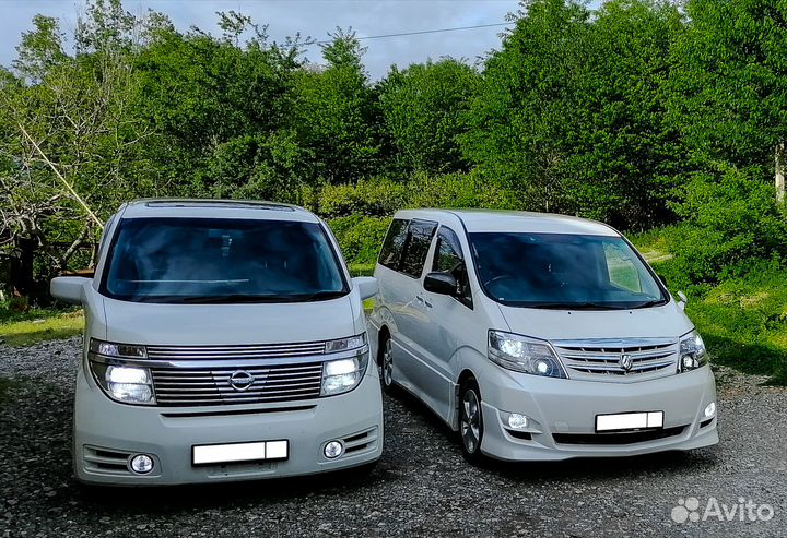 Экскурсии в Абхазию ежедневно