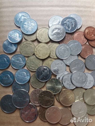 Монеты с животными,рыбы,птицы