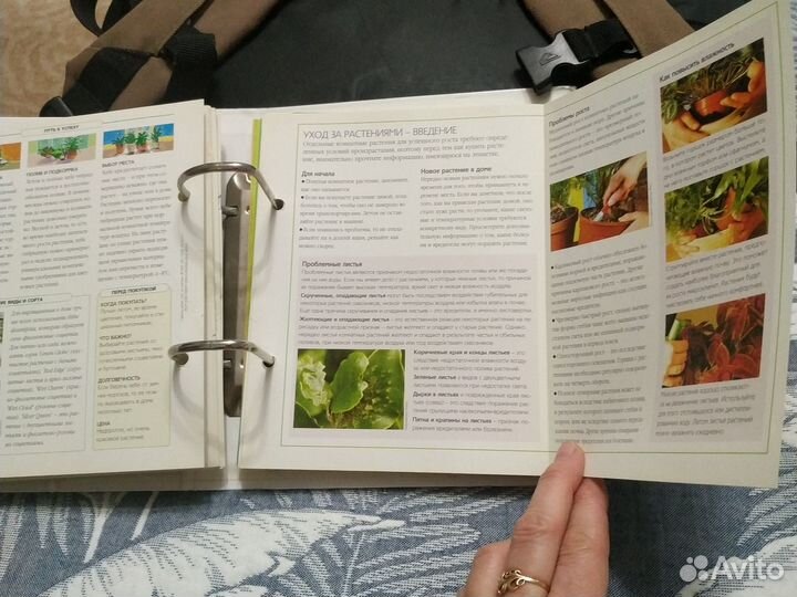 Книга растений