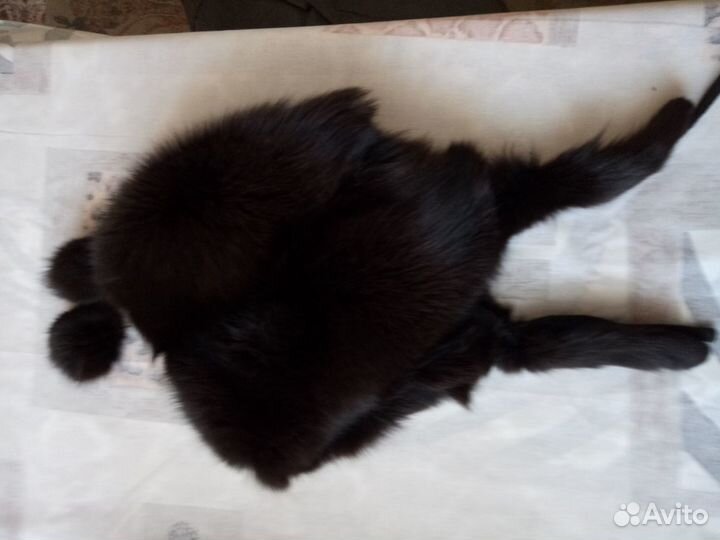 Шапка меховая для дев