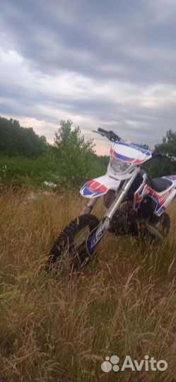 Bse dx 125