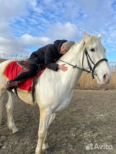 Конные прогулки