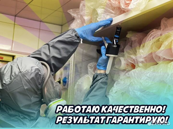 Дезинфекция обработка от грызунов клещей