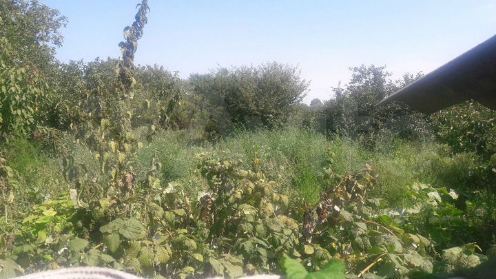 Дом 64 м² на участке 9 сот.