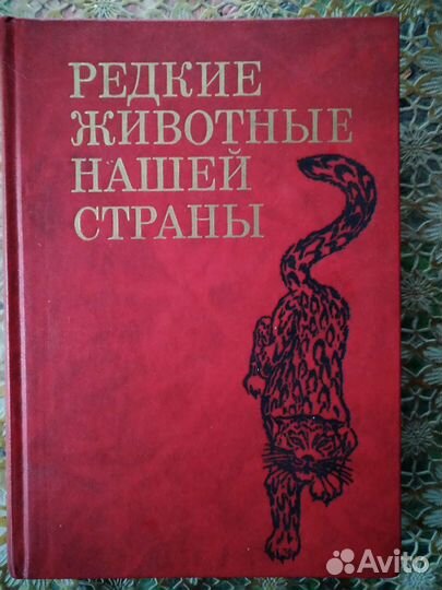 Редкие животные нашей страны