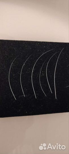 Кошачьи усы