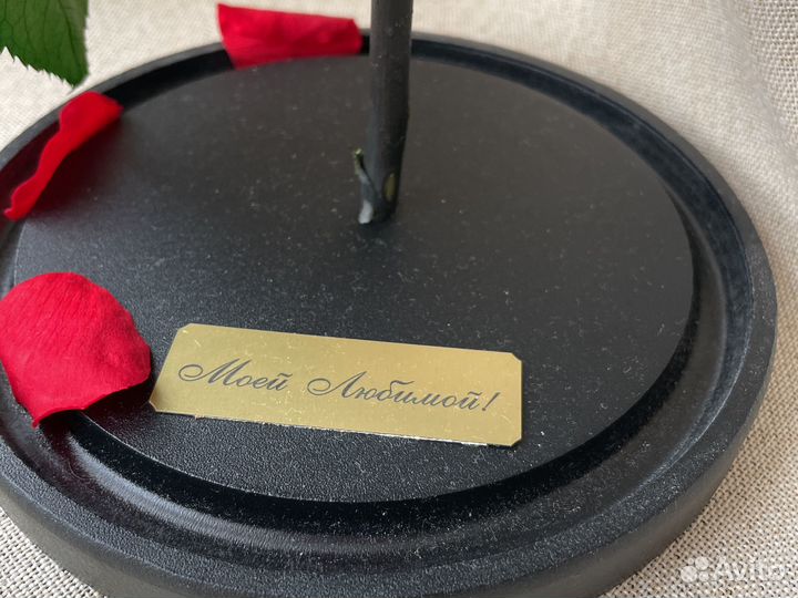 Живая вечная роза в стеклянной колбе